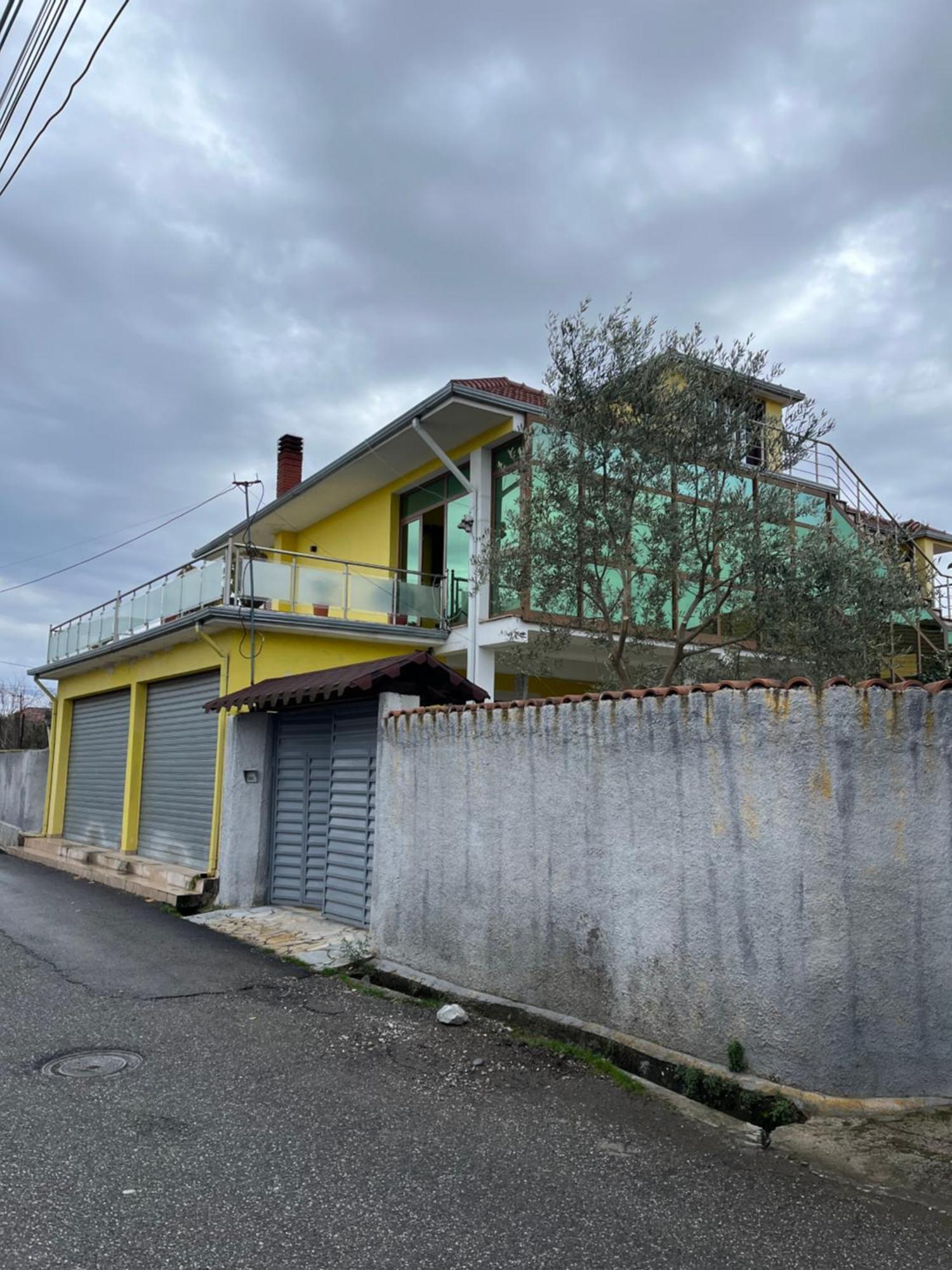Tota Szkodra